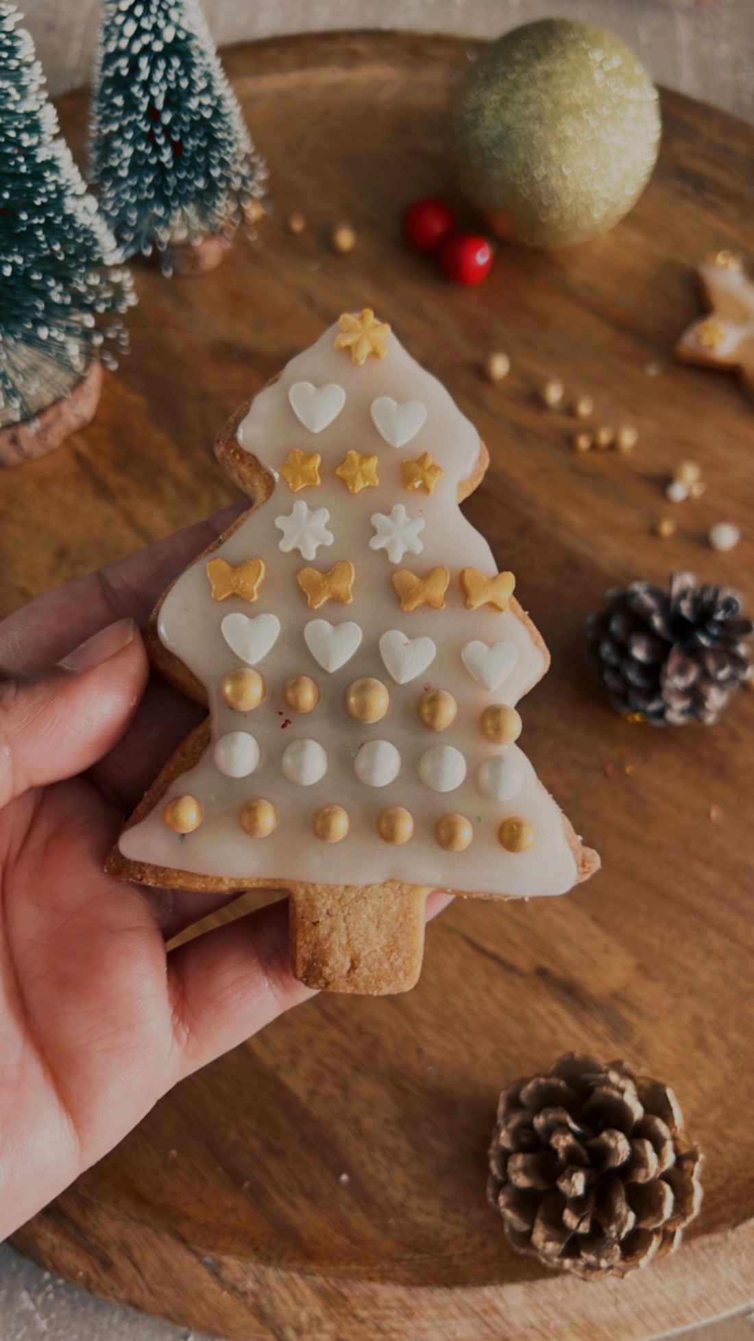 DIY Cookie Decoration Kit