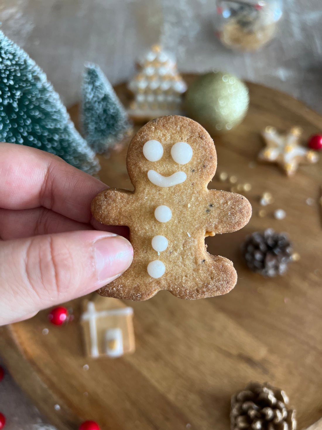 DIY Cookie Decoration Kit